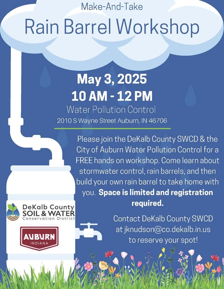 FB_IMG_1740667472996